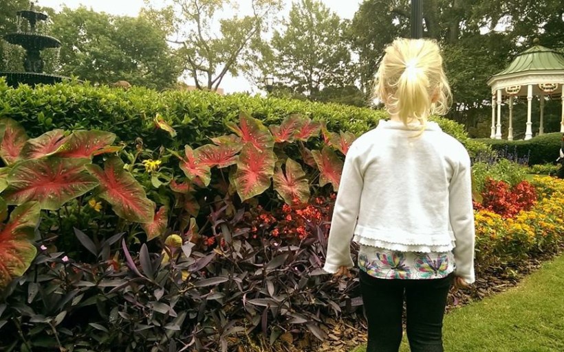 10612781_10154599168145702_6446323892731177138_n