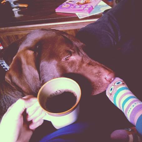 10665757_286596591548023_1473770585547354003_n