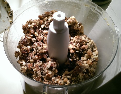 Lemon Chia Balls | The Half-Crunchy Mama