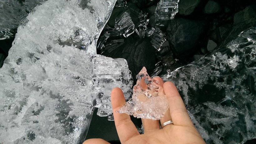 11025169_10155223365895702_8033610531559637536_n