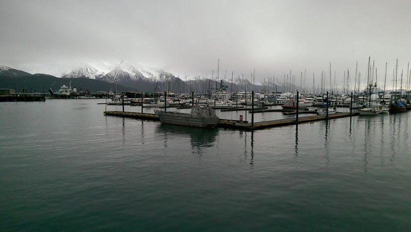 1484680_10155223383480702_6842683517311909751_n