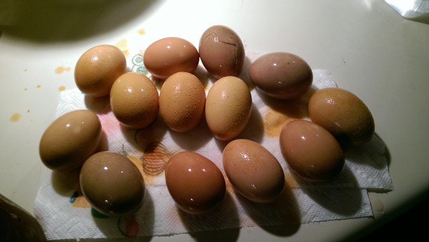 Dyeing Easter eggs naturally | The Half-Crunchy Mama