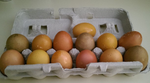 Dyeing Easter eggs naturally | The Half-Crunchy Mama